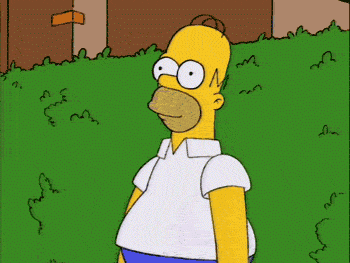 unnamed (9).gif