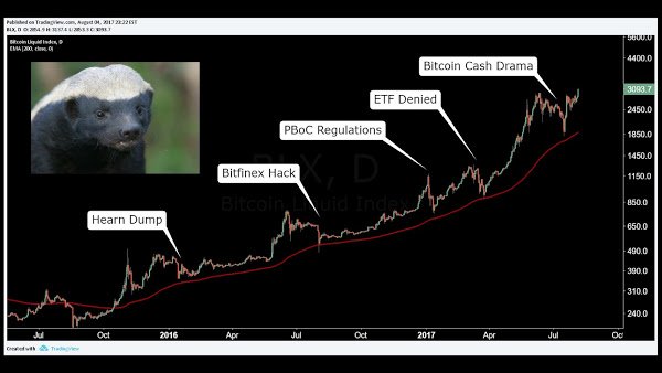 bitcoin honey badger chart 2017.jpg