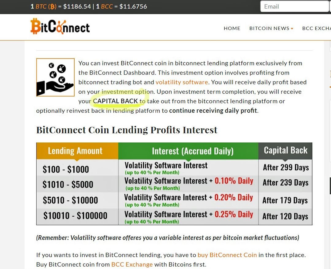 bitconnect capital back.jpg