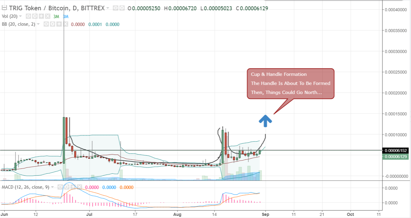 trig crypto