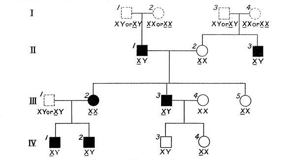 Charts,_pedigree_chart_of_colour.-.jpg