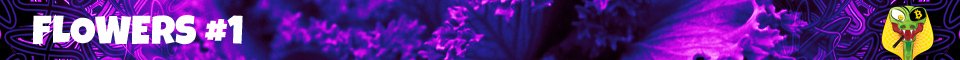 BAN-FLOWERS-1.jpg