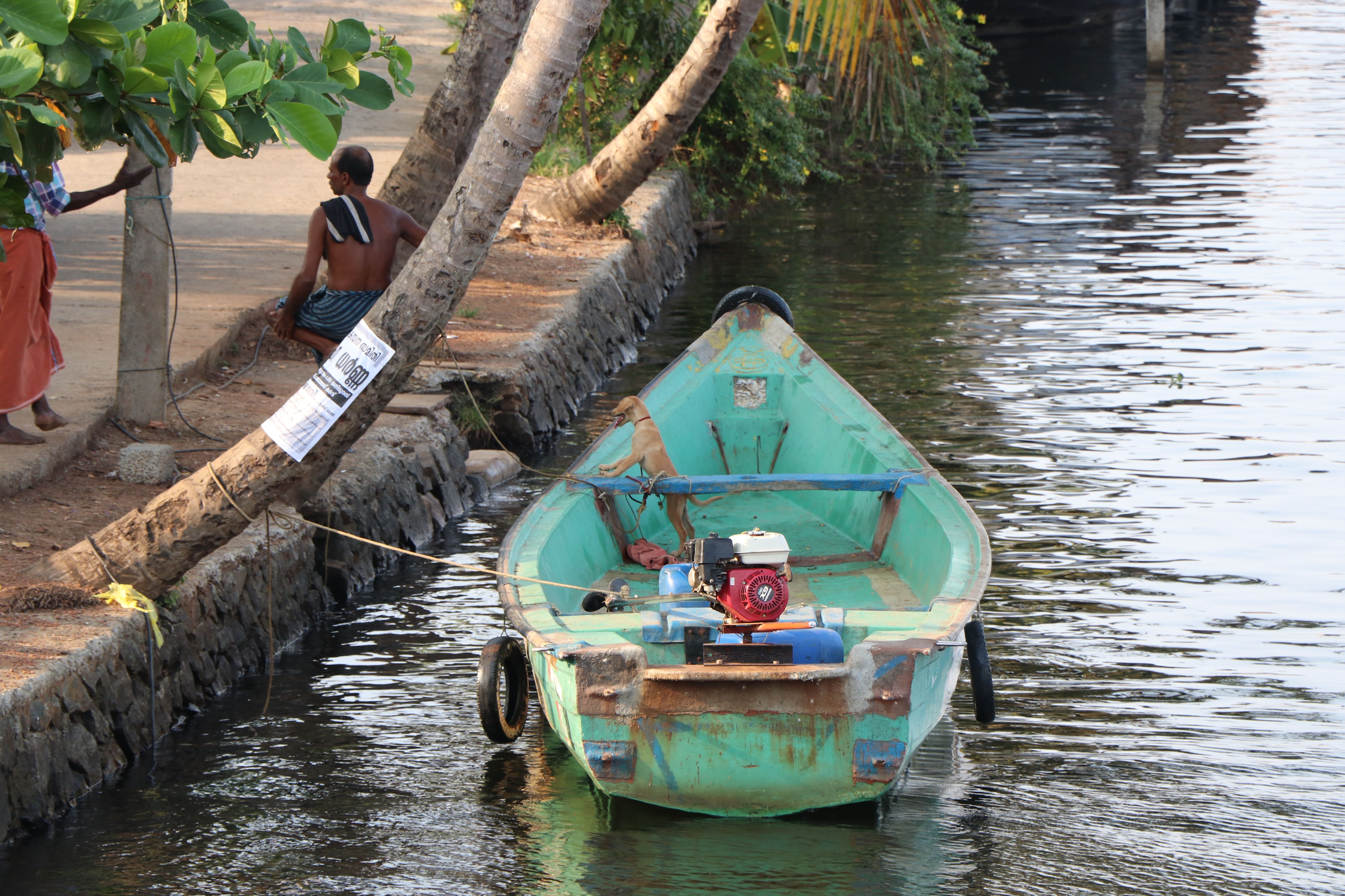 backwaters of kerala india thelifeofjord.JPG