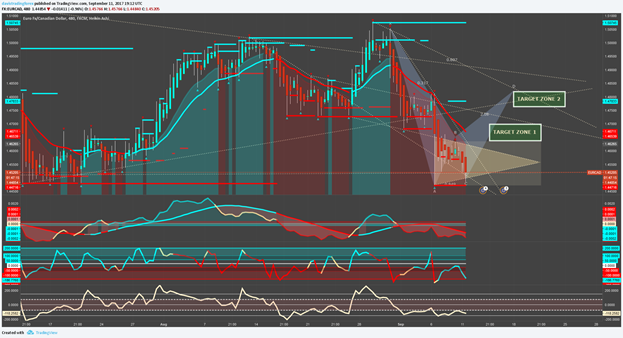MLM Forex Trading Plan, Forex MLM Plan Script