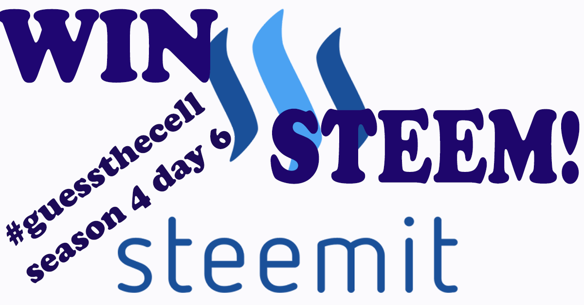 Steemit-bigD6.gif