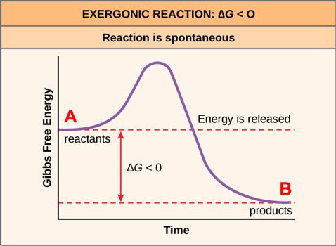 Figure_06_03_03a.jpg