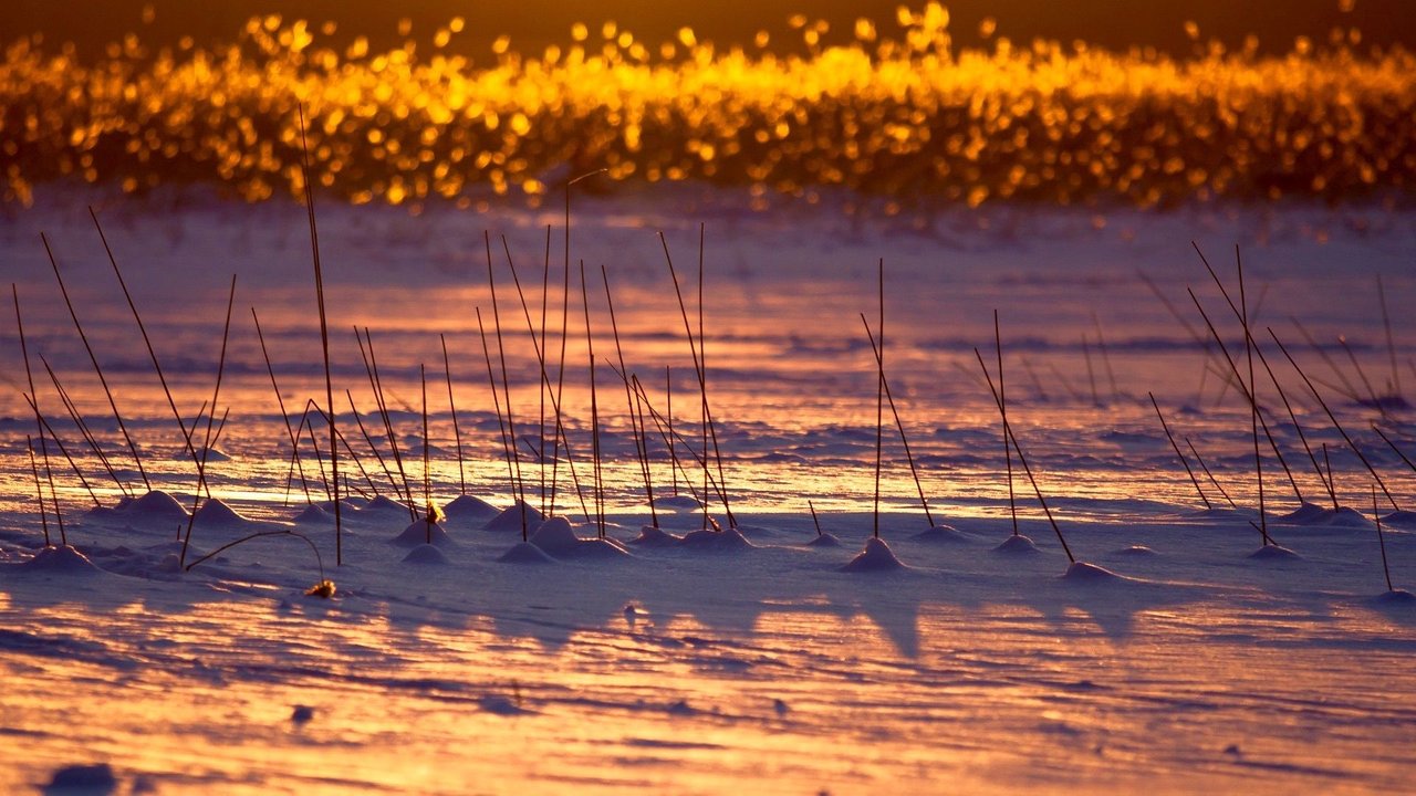 finland-snow-sticks-sunset-orange-light-freedomain.jpg