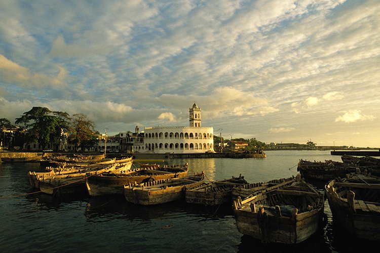 Tourism In The Comoros A Beautiful Bride And Rare Fragrances And Wild Flowers Steemkr