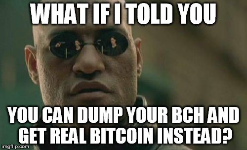 Meme For All Bitcoin Cash Lovers - 