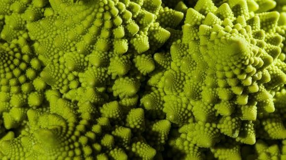 romanesco 2.jpg