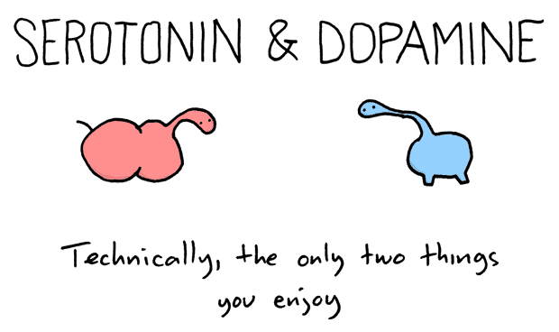 serotonin and dopamine