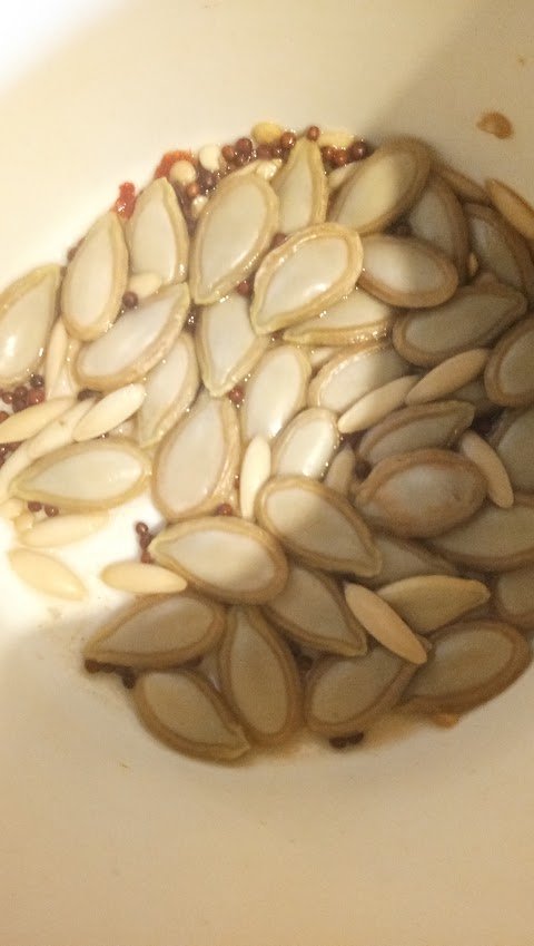 soaking seeds.jpg