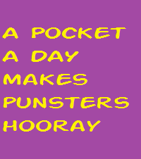 pocketpun.png