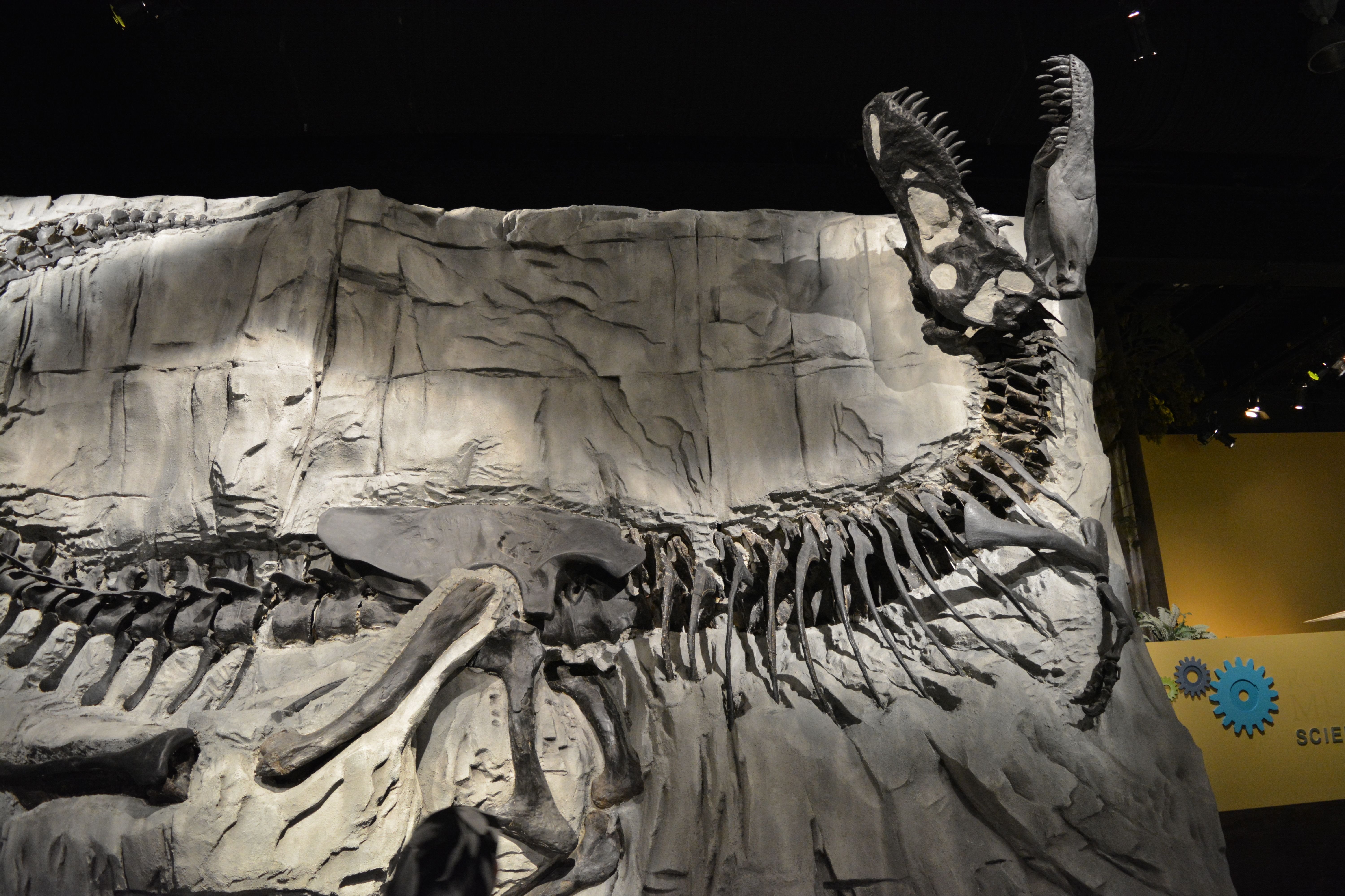 to Drumheller Home of World's Largest Dinosaur — Steemit