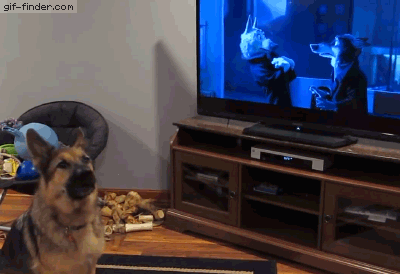 German-shepherd-howling-with-wolves-from-Zootopia.gif