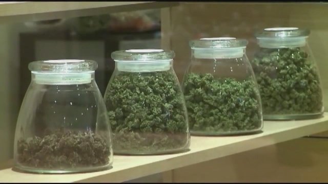 Recreational_pot__License_applications_b_0_4763753_ver1.0_640_360.jpg