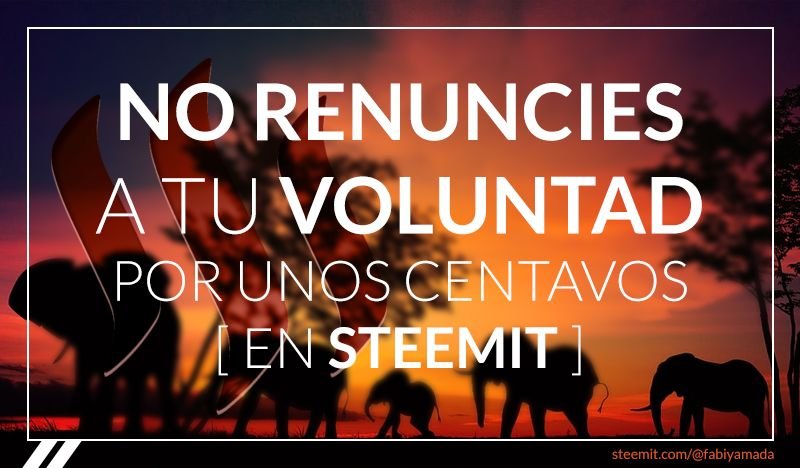 no renuncies a tu voluntad.jpg