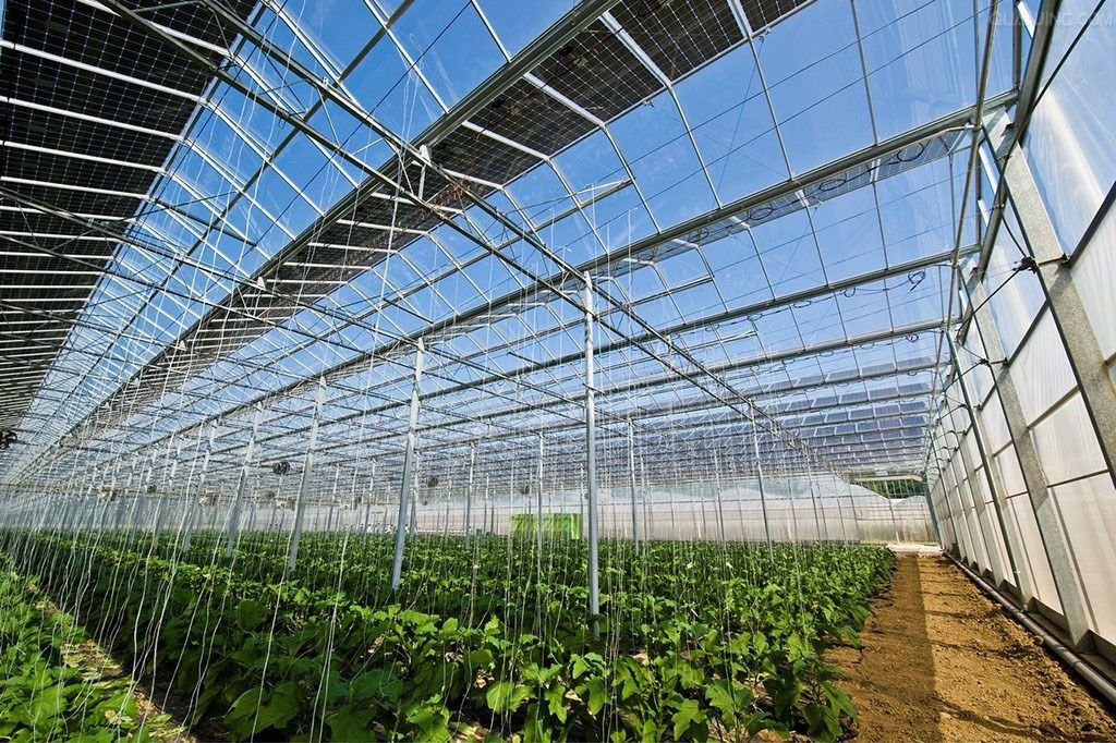 solar-energy-in-agriculture-advantages-of-solar-energy-in-agriculture