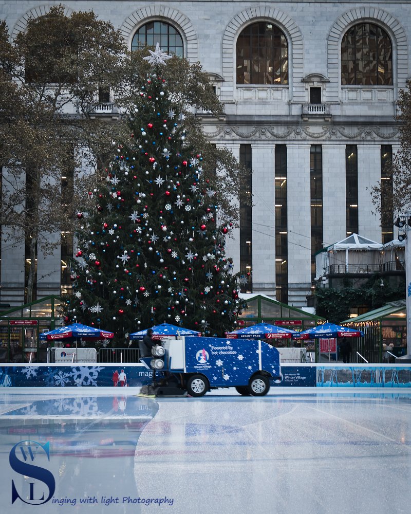 Bryant Park tree and zamboni.jpg