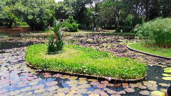 Jardin Botanico 2nd Meet Up!.jpg