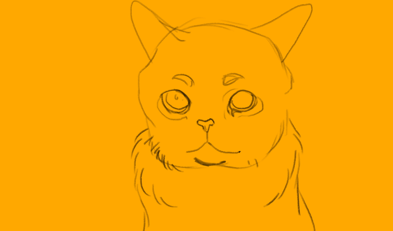 Daily-Cat-Drawings_12.gif