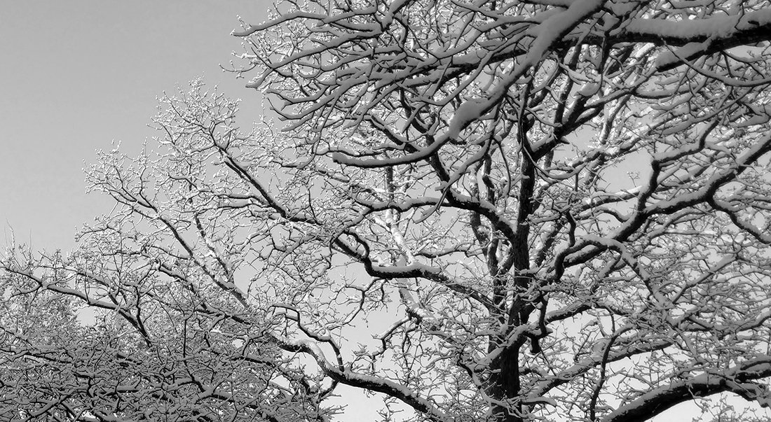 winter-b&w.jpg