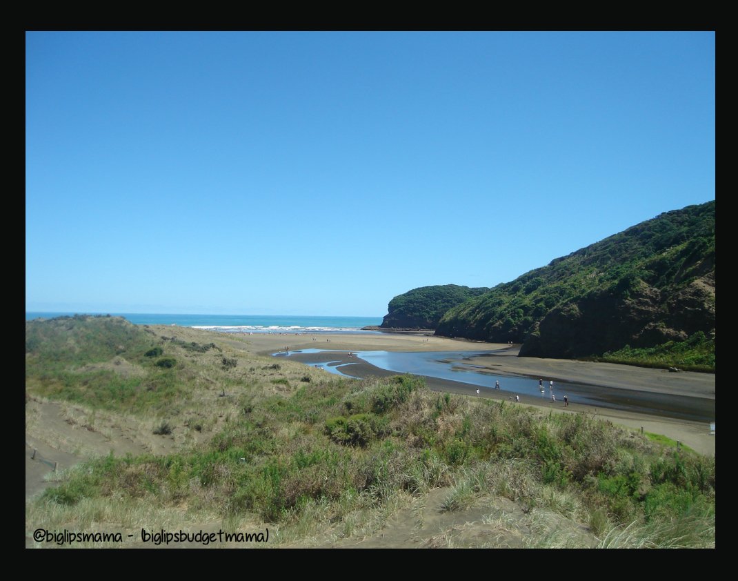 bethells beach orginal.jpg