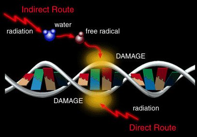 radiationdamage.jpg