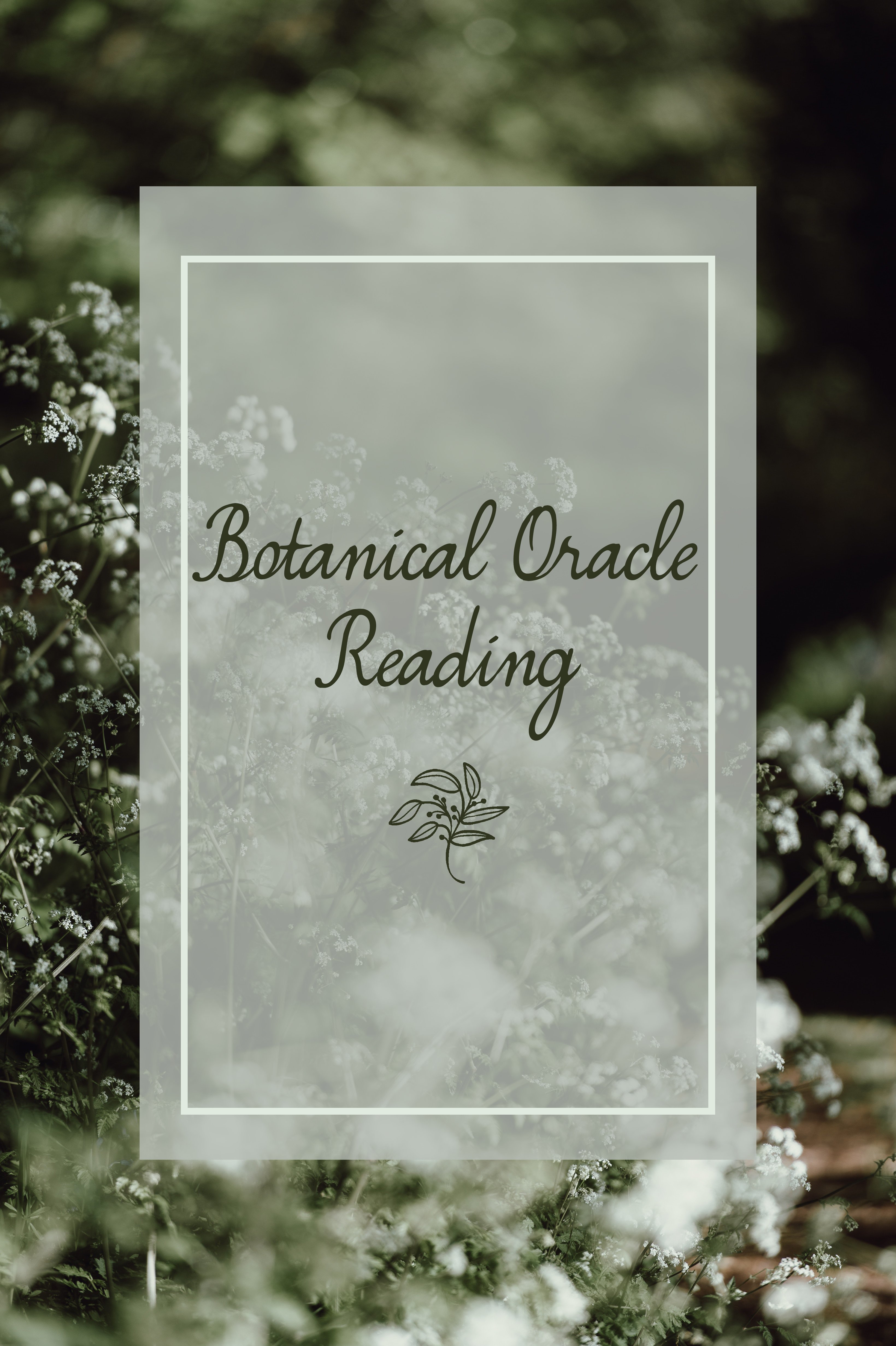 botanical-oracle-reading.jpg