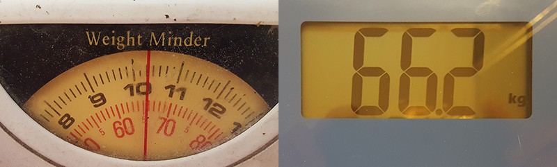scales_66_2.png