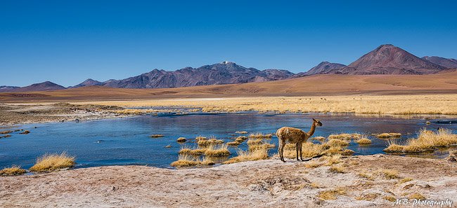 Atacama Chile 2 Kopie-3-2.jpg