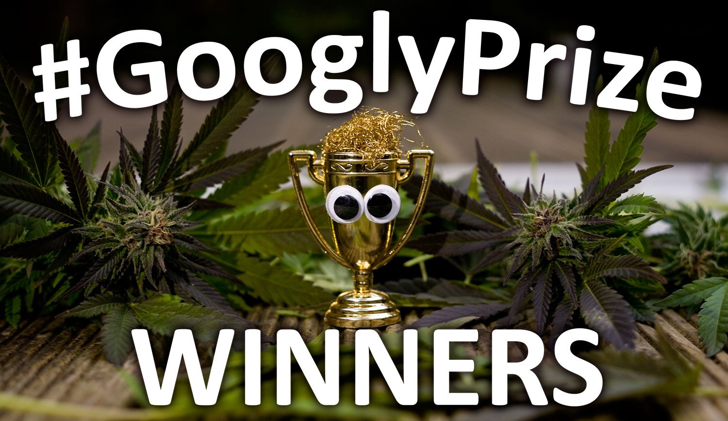 GooglzPriye Winners 14