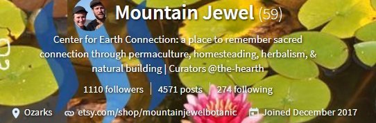 mountainjewel.jpg