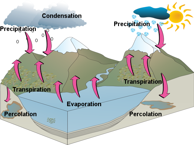 Hydrological Cycle — Steemit