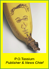 P.O.Tassium.png