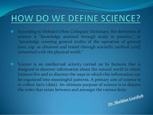 essay about any novel interesting topic
