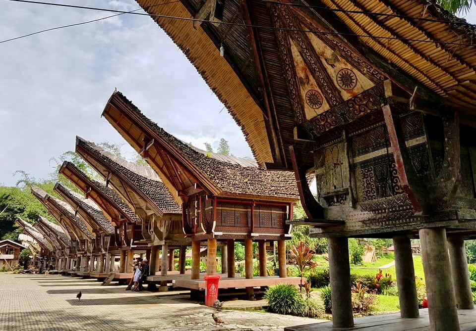  Rumah  Adat Toraja  Sulawesi Selatan  Steemkr