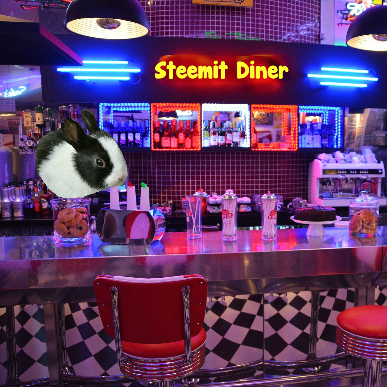 Steemit Diner Rabbit.jpg