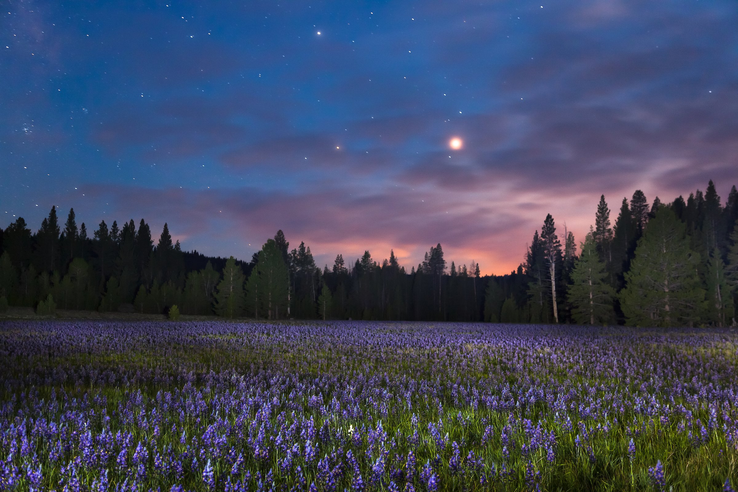 Sagehen Meadow at Night 1.jpg