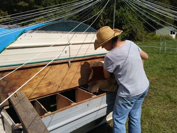 Pam cleaning nestboxes crop Sept. 2017.jpg