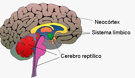 steemit nuevo post 24.gif