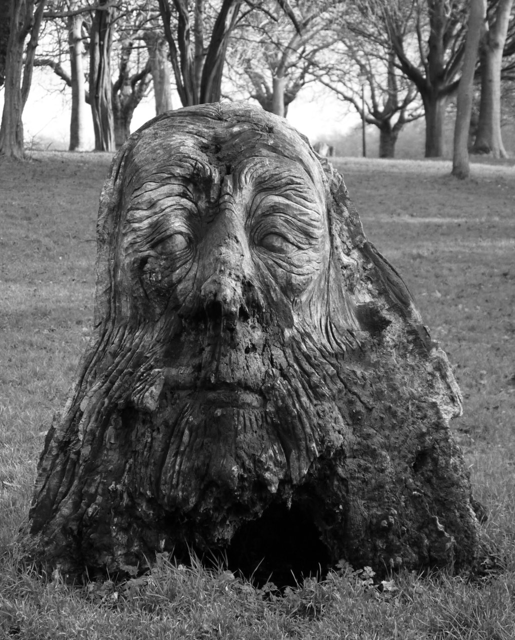 15568759915 - old mans face carved into a tree stump begins to BW.jpg