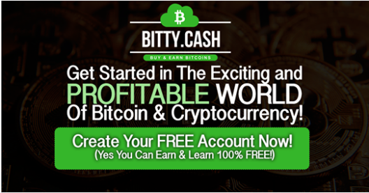 bittycash1.png