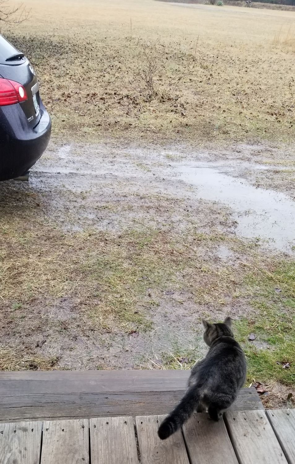 20180201_153242 Rainy day - Musica on Front Porch.jpg