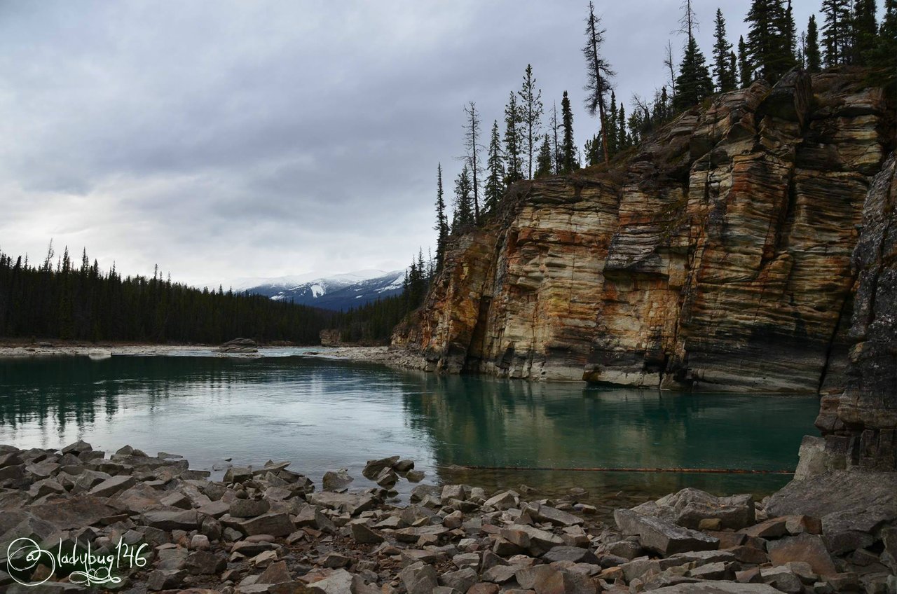 athabasca falls13.jpg