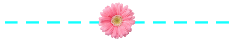 separador flor rosa.png