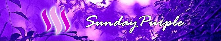 purple-banner.jpeg