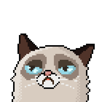 grumpy cat no gif