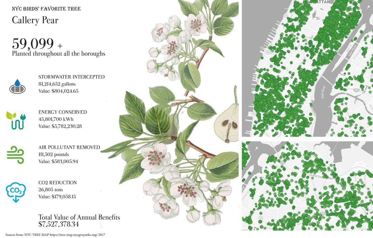 tree map-6.jpg