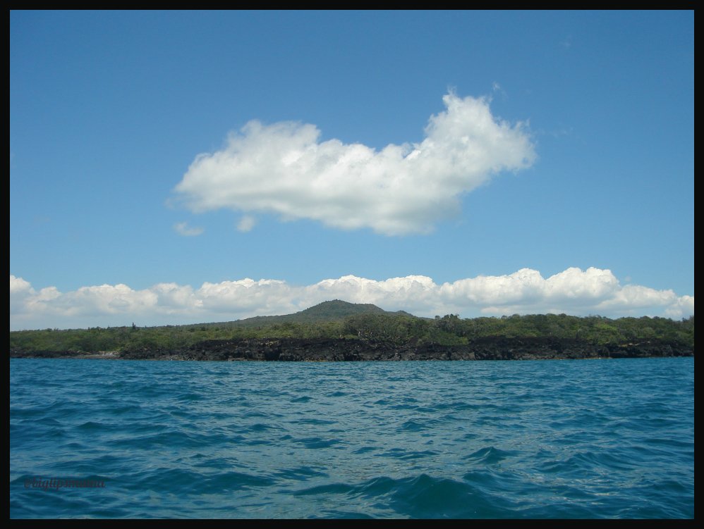 rangitoto from the sea2.jpg